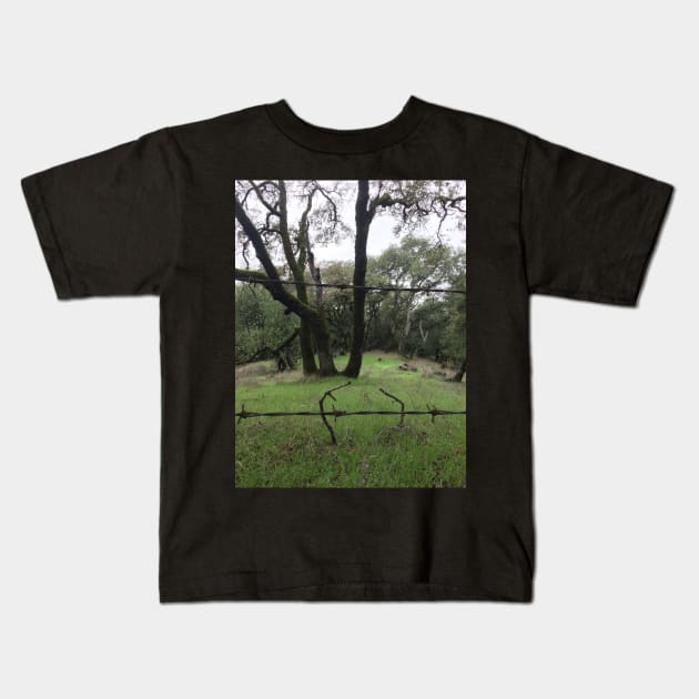 taylor mountain trees Kids T-Shirt by auriel